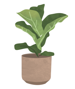 Gardening